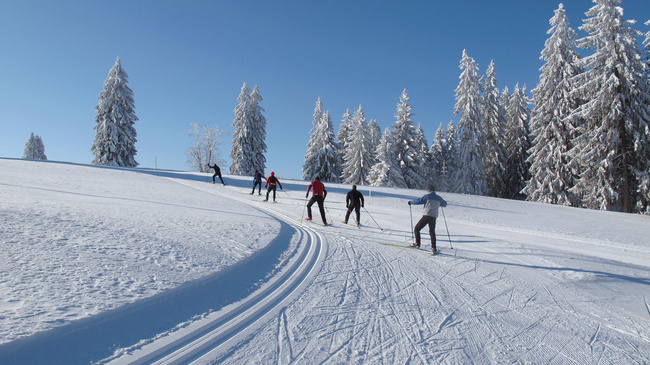 Ski de fond